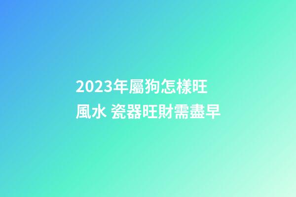 2023年屬狗怎樣旺風水 瓷器旺財需盡早